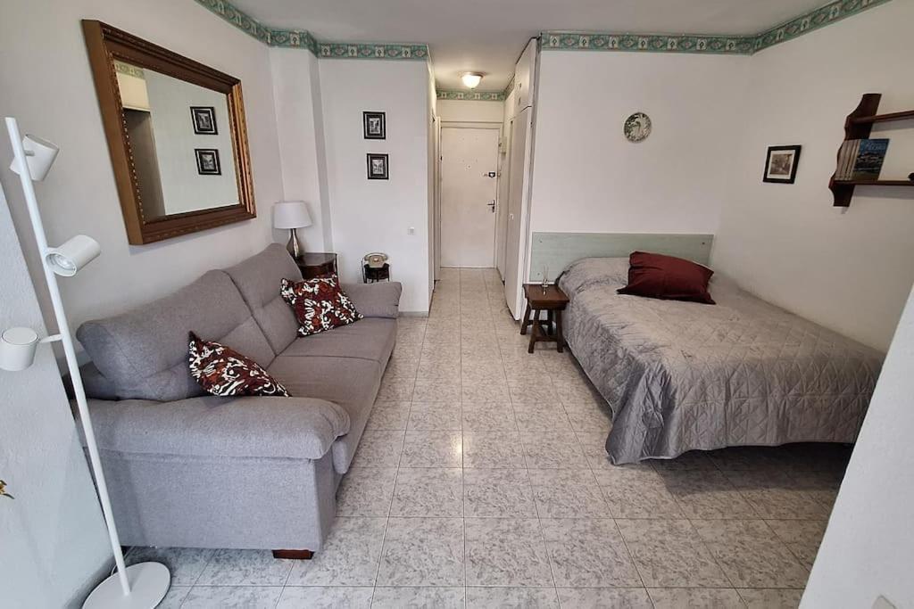 Apartment Comfy In *