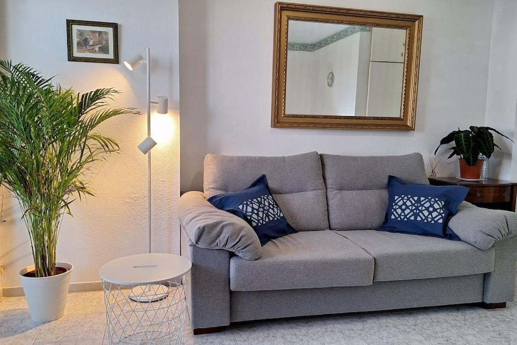 Comfy In Apartment